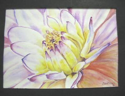 'Water Lily' Watercolor - Art & Buff