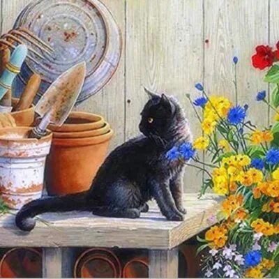 Paint By Numbers